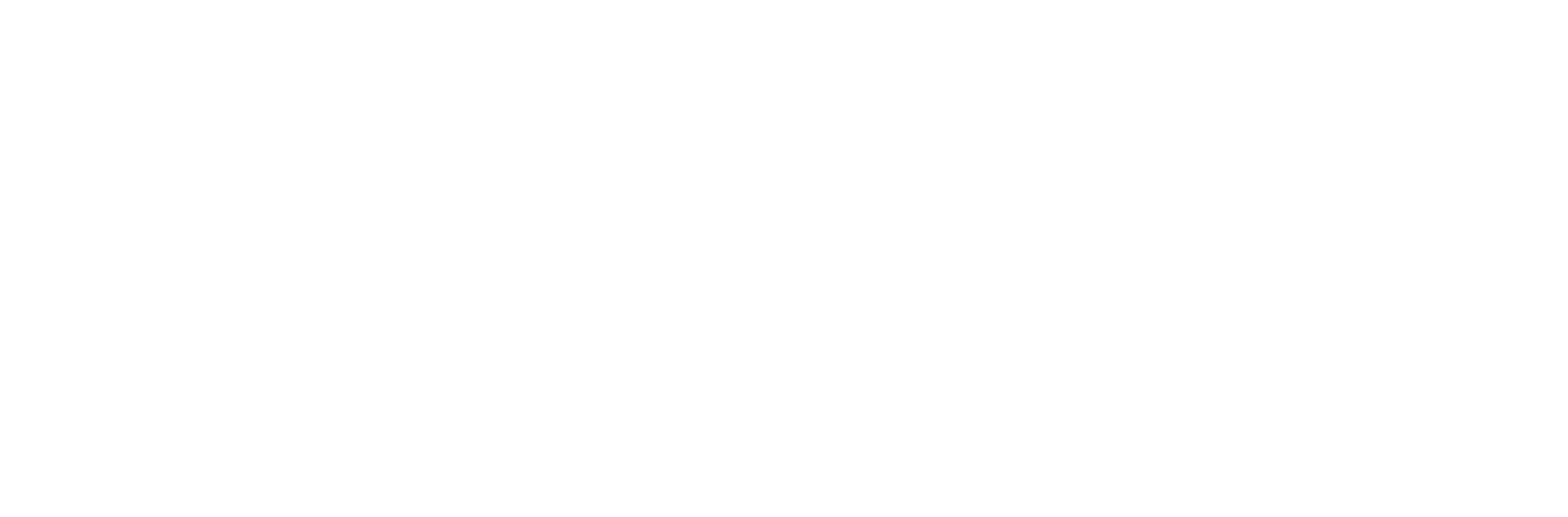 Level5 Management